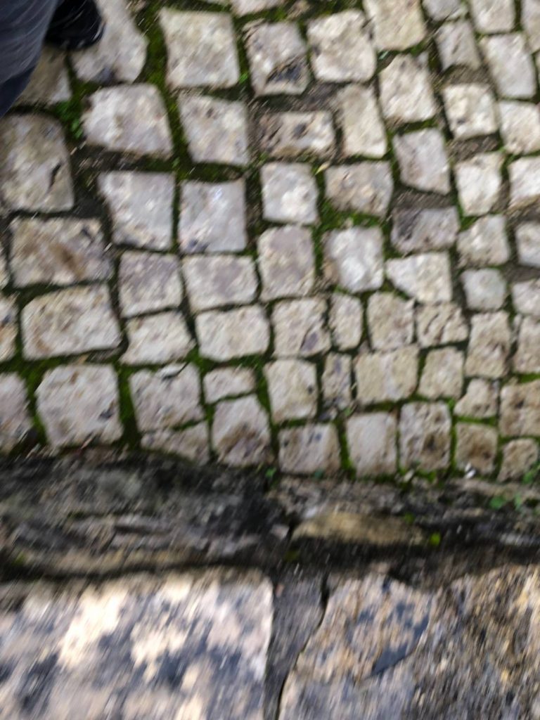 Fatima i Santiago de Compostela, hodočašće - Magdala